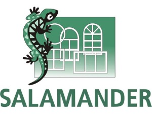 profil-salamander